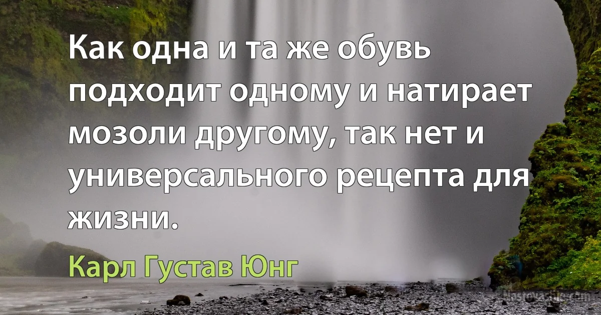 Как одна и та же обувь подходит одному и натирает мозоли другому, так нет и универсального рецепта для жизни. (Карл Густав Юнг)