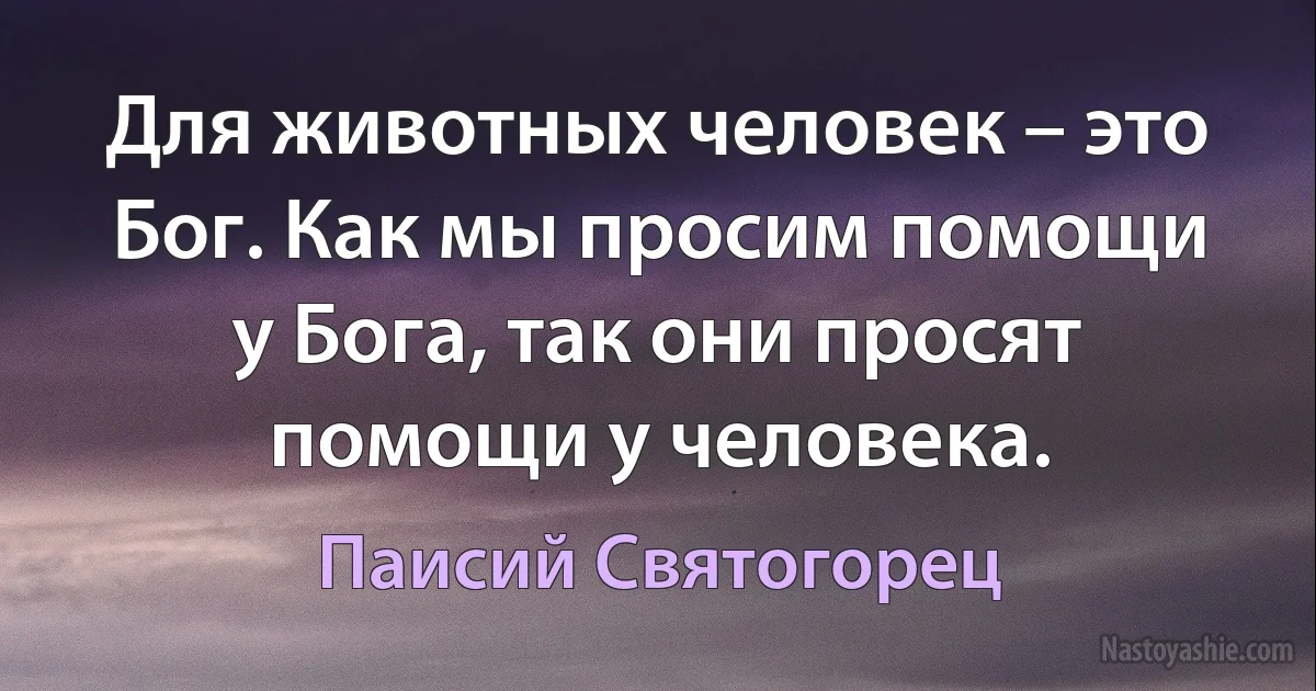 Для животных человек – это Бог. Как мы просим помощи у Бога, так они просят помощи у человека. (Паисий Святогорец)