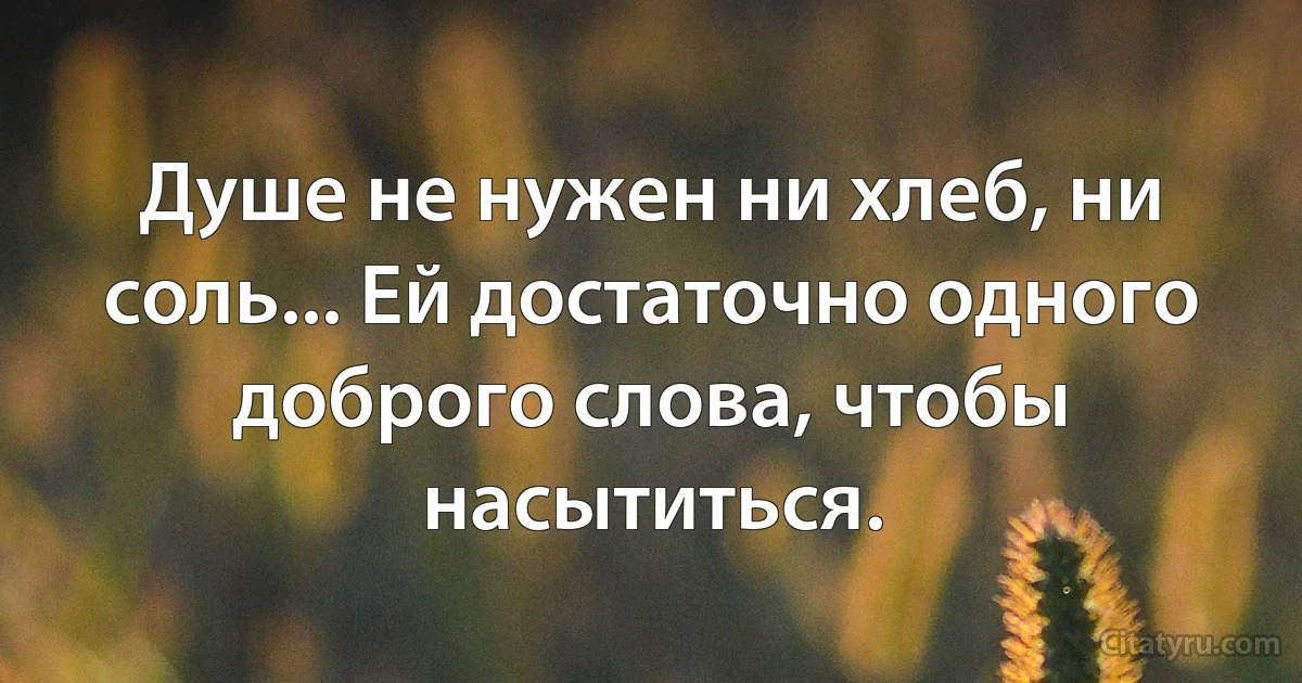 Душе не нужен ни хлеб, ни соль... Ей достаточно одного доброго слова, чтобы насытиться. (INZ RU)