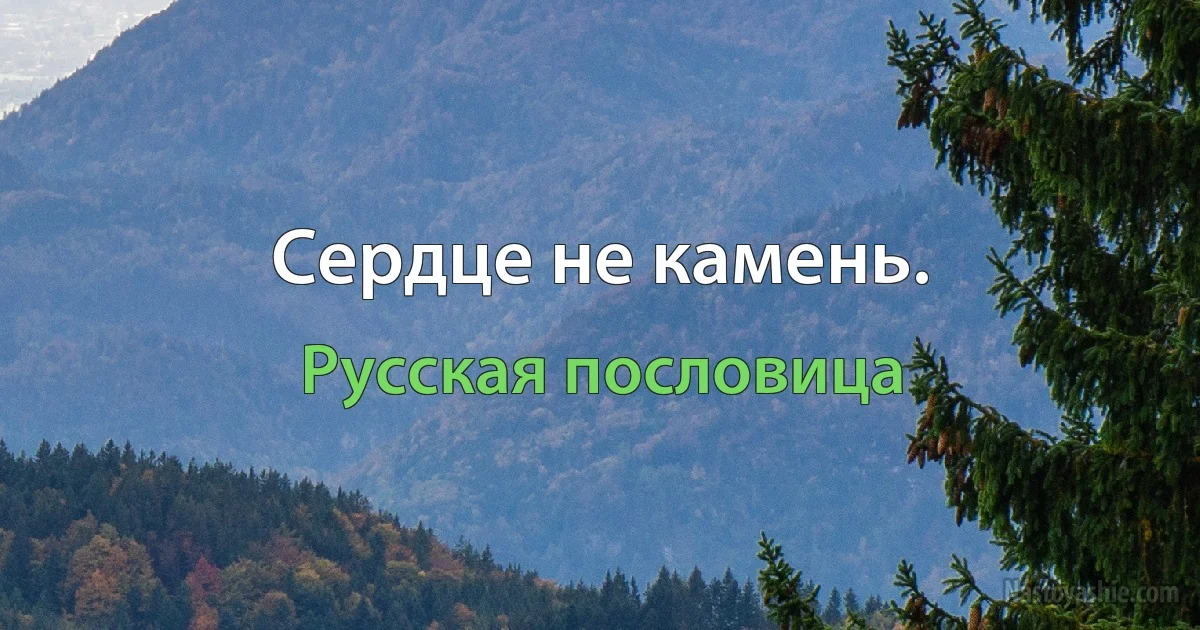 Сердце не камень. (Русская пословица)