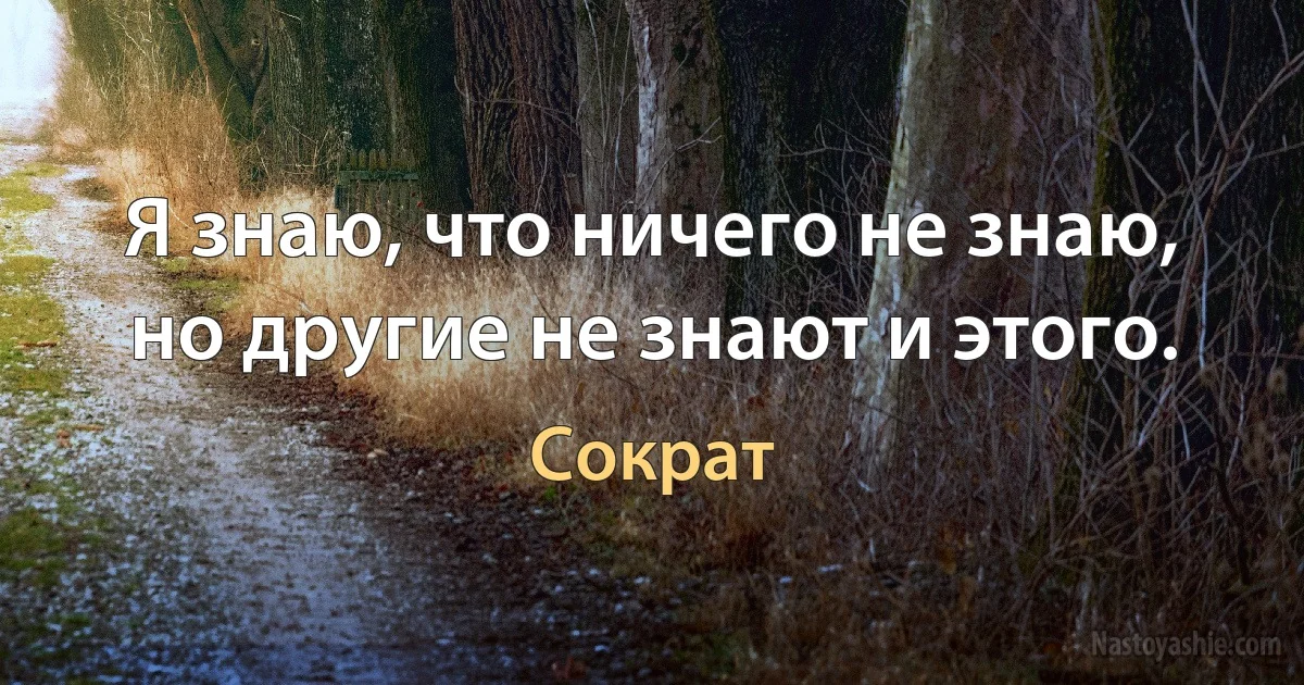 Я знаю, что ничего не знаю, но другие не знают и этого. (Сократ)