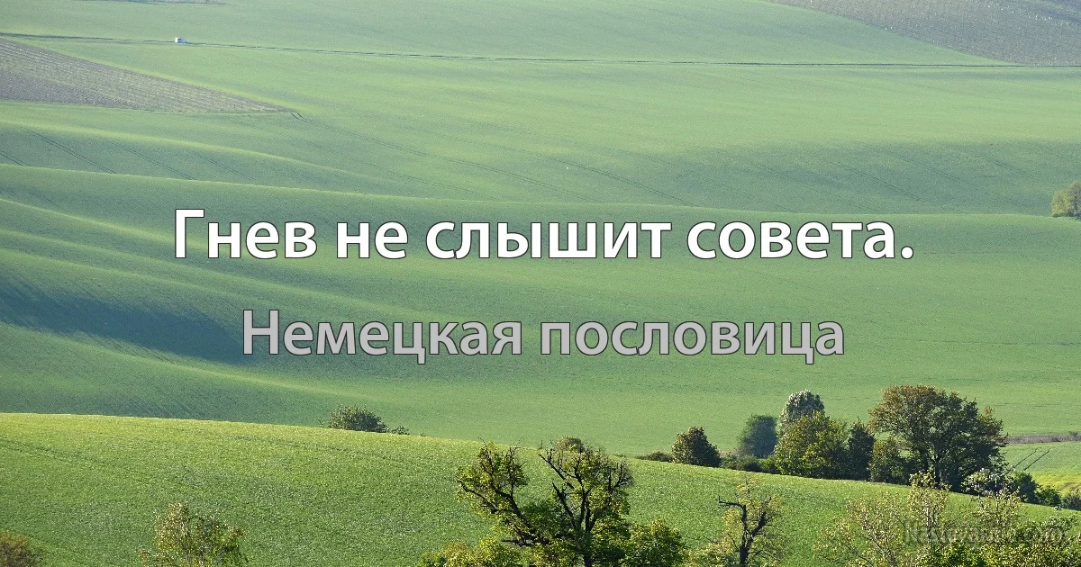 Гнев не слышит совета. (Немецкая пословица)