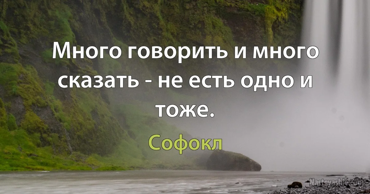 Много говорить и много сказать - не есть одно и тоже. ()