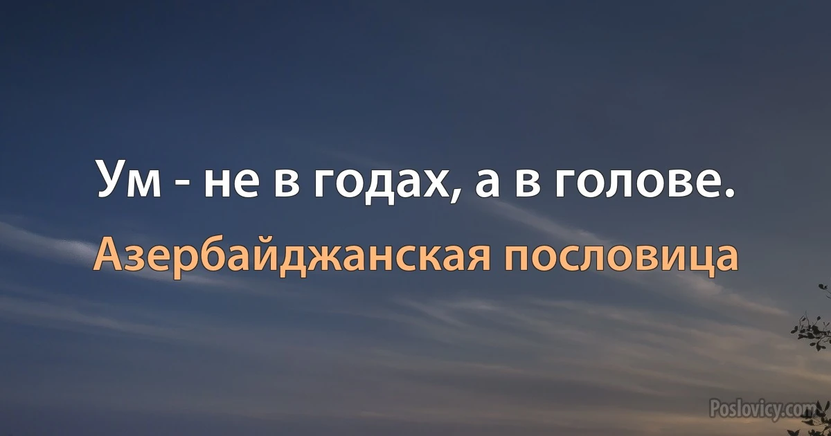 Ум - не в годах, а в голове. (Азербайджанская пословица)