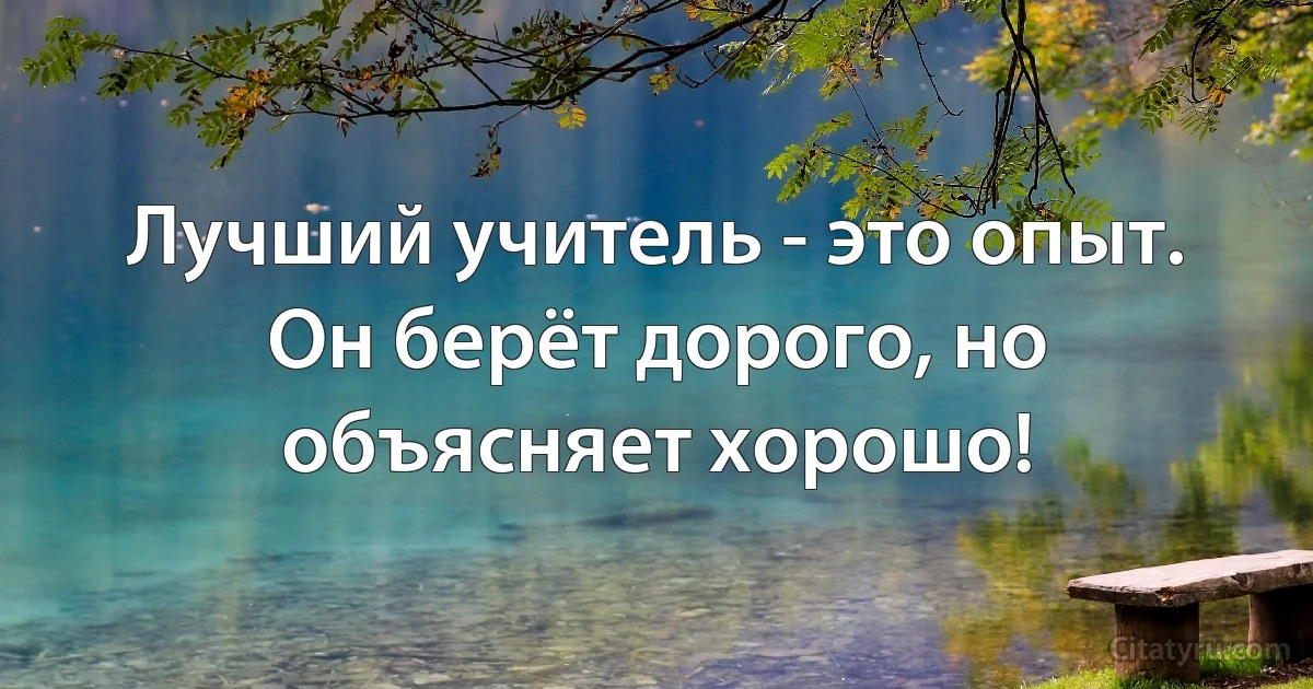 Лучший учитель - это опыт. Он берёт дорого, но объясняет хорошо! (INZ RU)