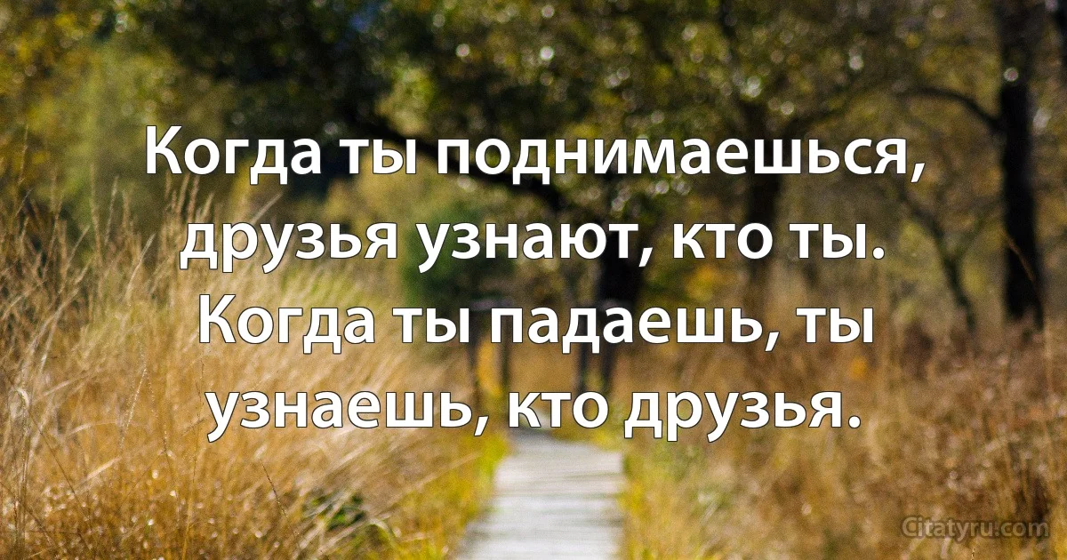Когда ты поднимаешься, друзья узнают, кто ты. Когда ты падаешь, ты узнаешь, кто друзья. (INZ RU)