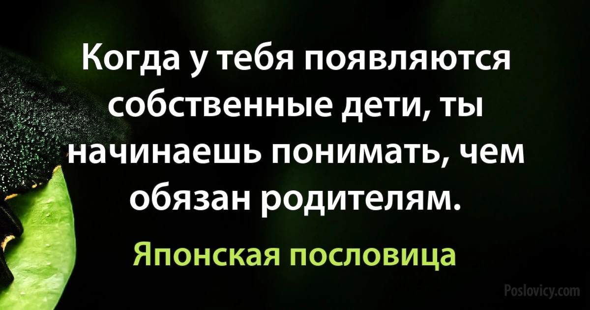 Когда у тебя появляются собственные дети, ты начинаешь понимать, чем обязан родителям. (Японская пословица)