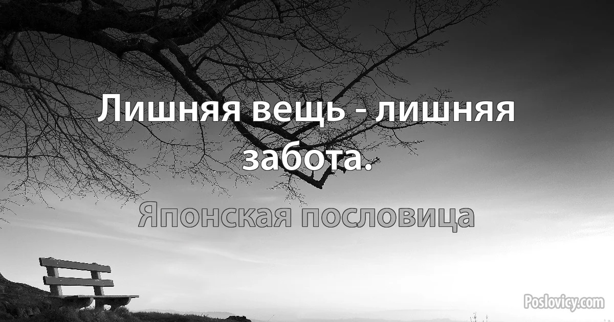 Лишняя вещь - лишняя забота. (Японская пословица)