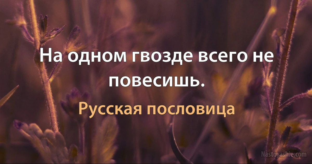 На одном гвозде всего не повесишь. (Русская пословица)