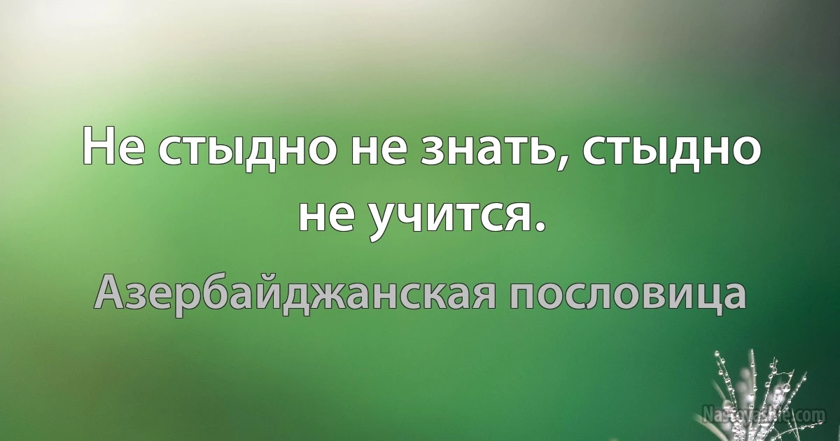 Не стыдно не знать, стыдно не учится. (Азербайджанская пословица)